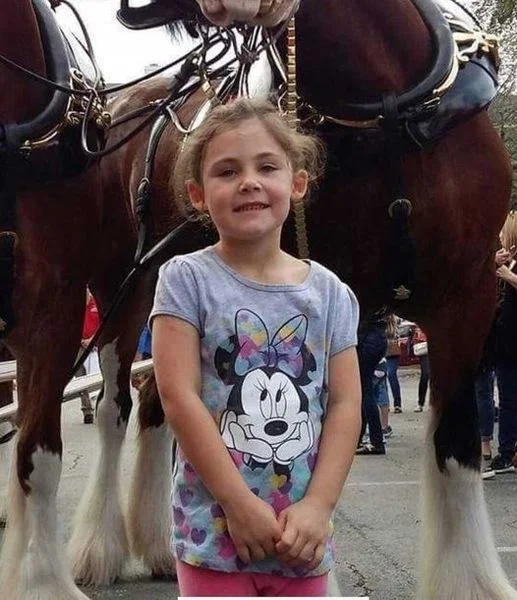 Баща снима дъщеря си пред гигантски кон, вглежда се по-отблизо и не може да спре да се смее