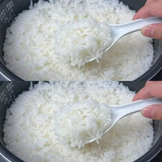 460536583 1058212085686655 3723114514463310173 n