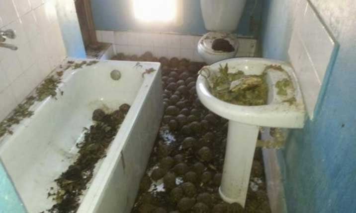 Screen shot 2018 06 08 at 4.25.49 PM 2