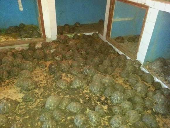 Screen shot 2018 06 08 at 4.28.29 PM 2