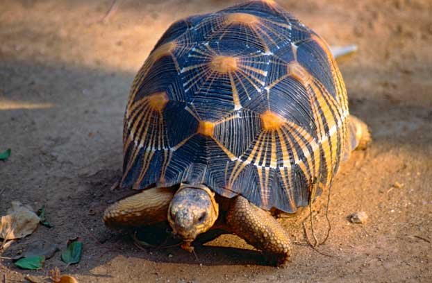 Screen shot 2018 06 08 at 4.30.15 PM 2