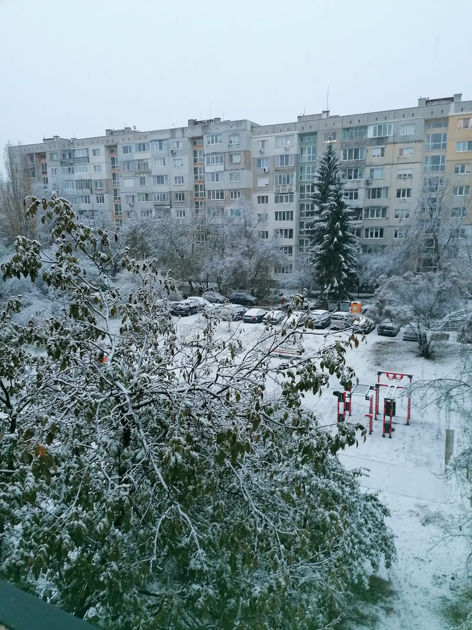 Снежна виелица удря България до часове, най-опасно ще е на тези места