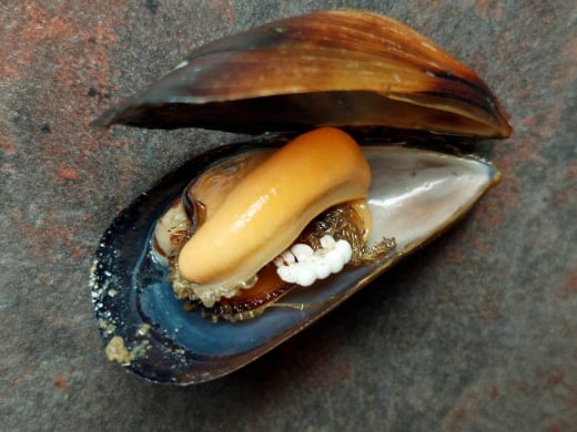 null 1721708095 172167360831601