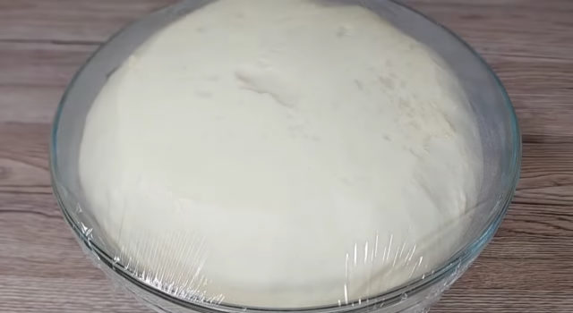 IMG 8167 e1699544786484