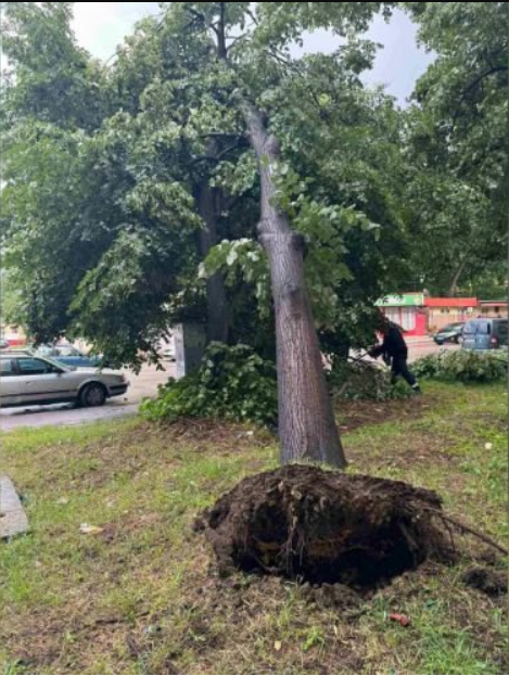 Свирепа буря връхлетя България, страшно е! СНИМКИ показват бедствието