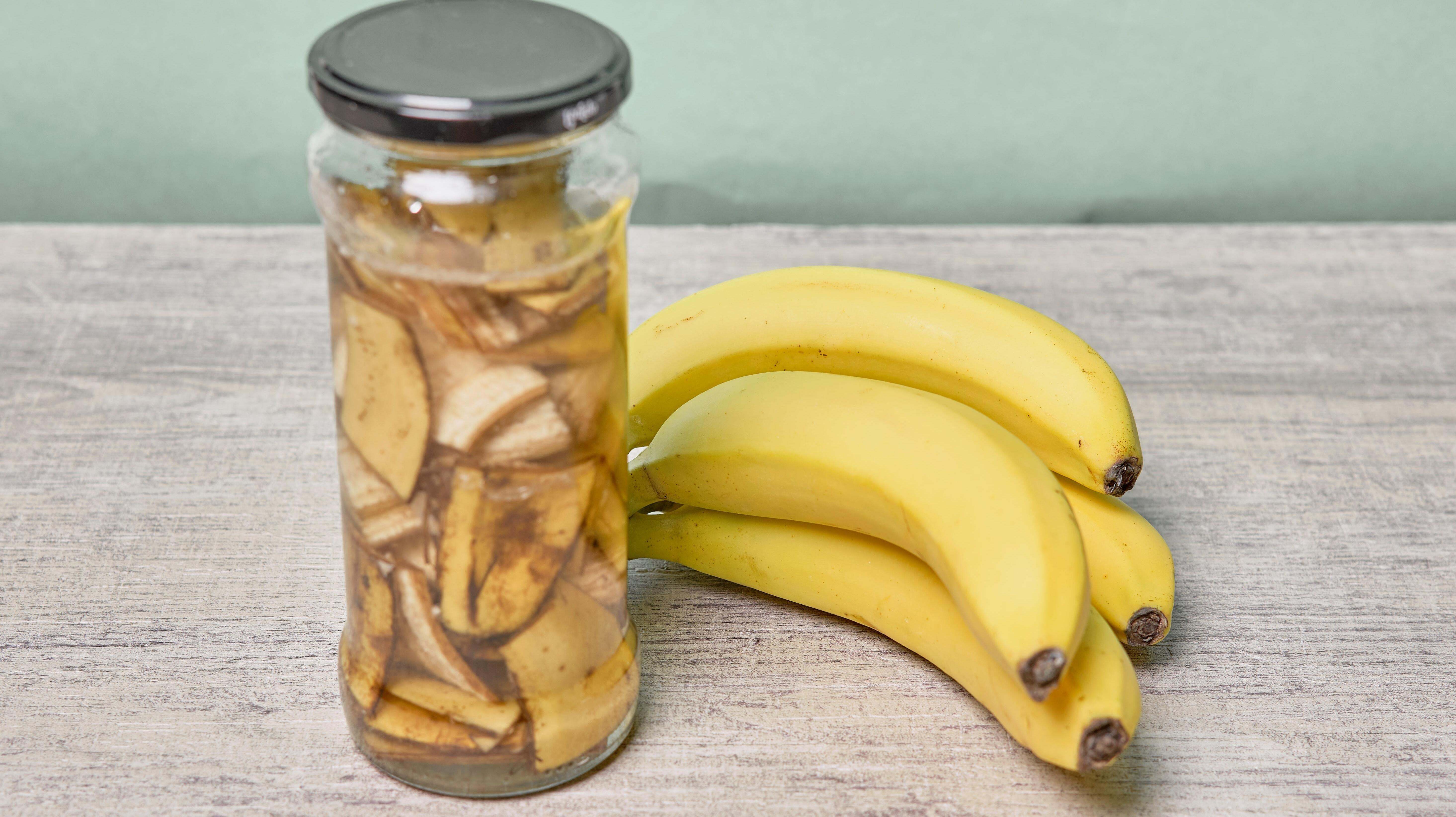 News: The Weirdest Ways You Never Knew You Could Reuse Banana Peels