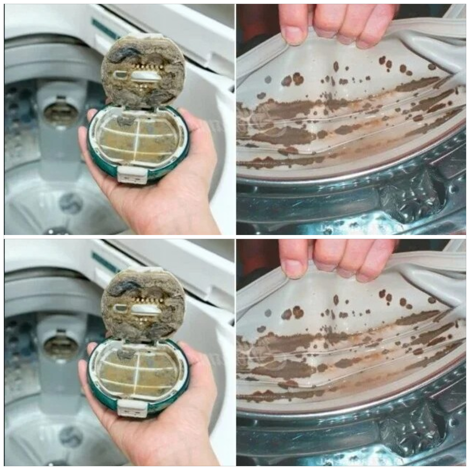 2 подправки от кухнята слагам на мястото на прахта и пералнята се чисти от всички боклуци с едно пускане