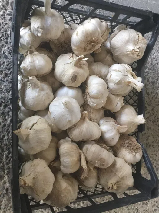 Внезапният силен апетит към чесън е знак, че в тялото ви