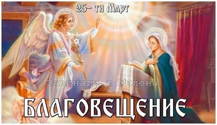 486369751 1164381398490671 7002568169782283571 n