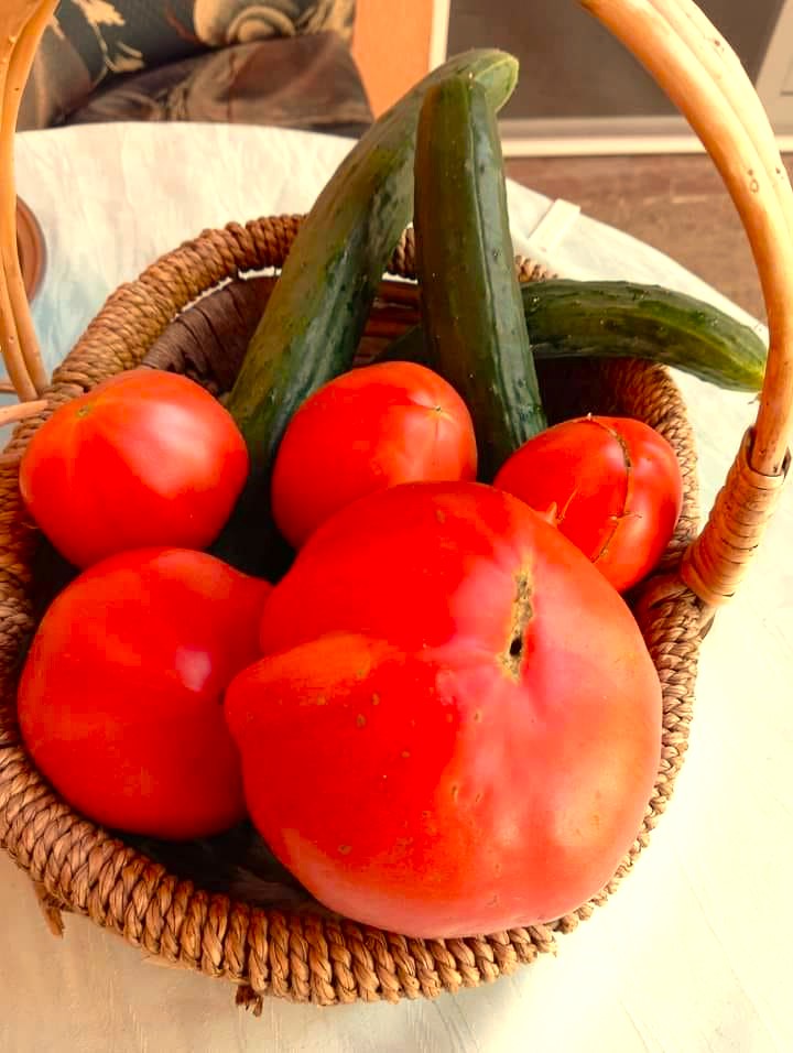 Подхранвам така 3 пъти: Доматите се превиват от плод чак до октомври