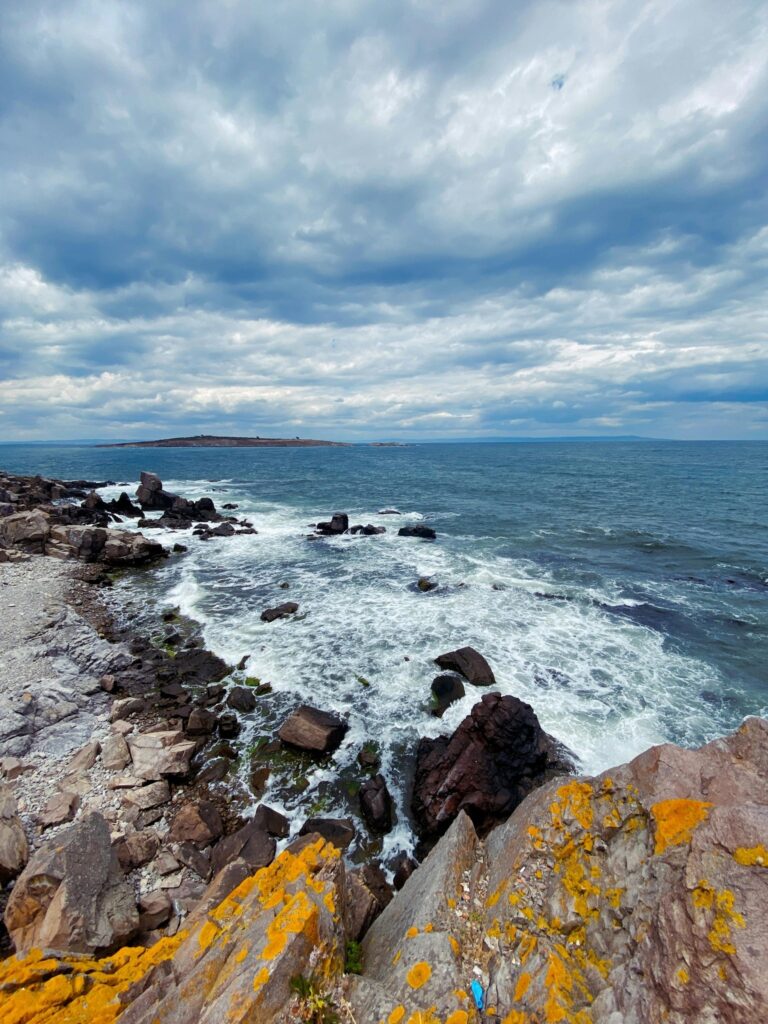 Извънредно: Нещо страшно се случва в Черно море