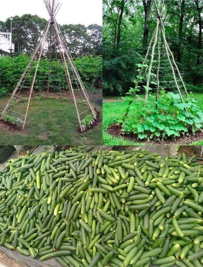 Миналата пролет отидохме на гости на роднини