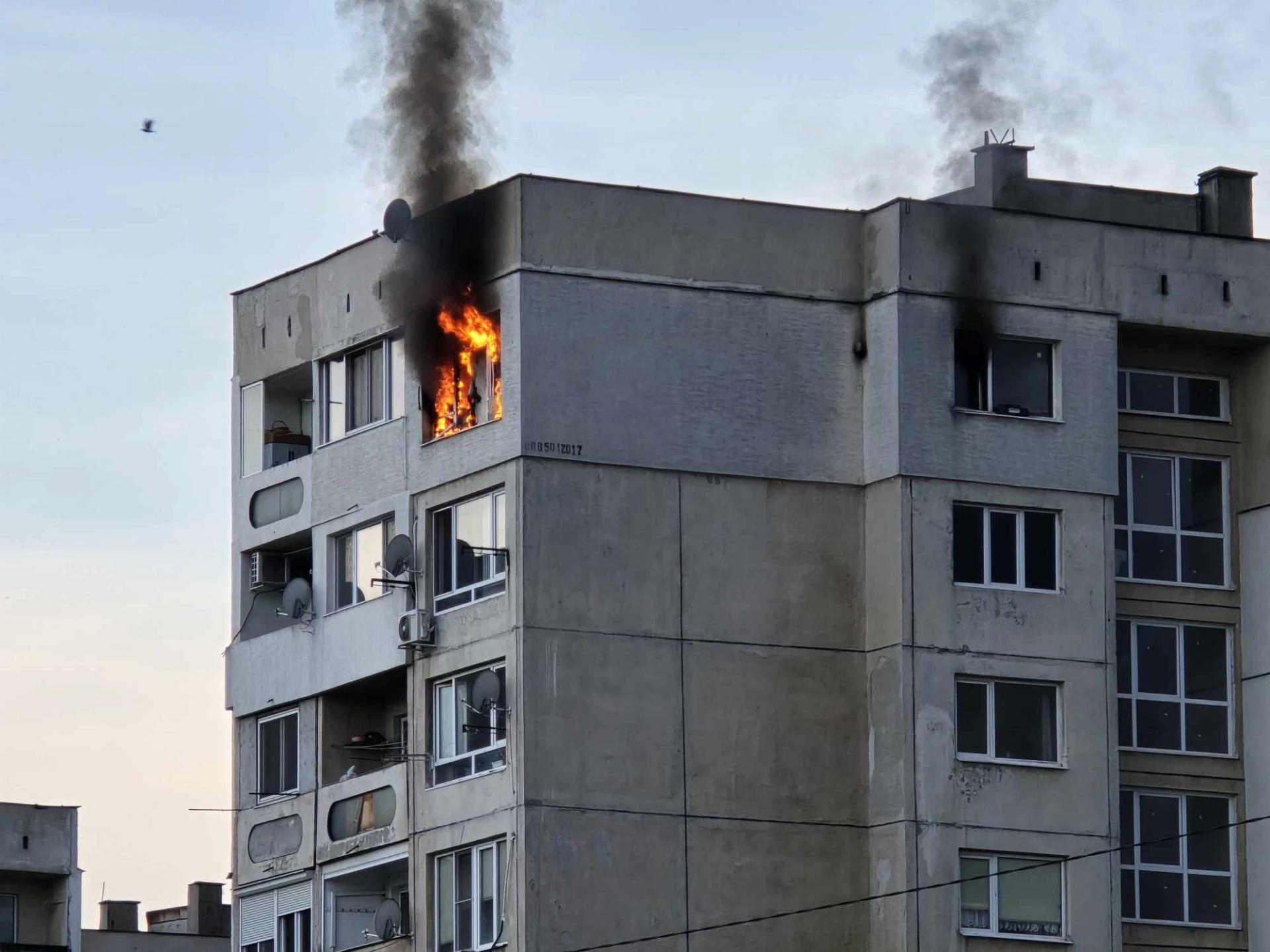 От последните минути! Ужас в столичния кв. "Младост" 4, ето какво се случва ВИДЕО 