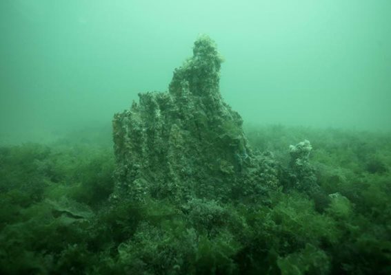 Каменната гора край Созопол