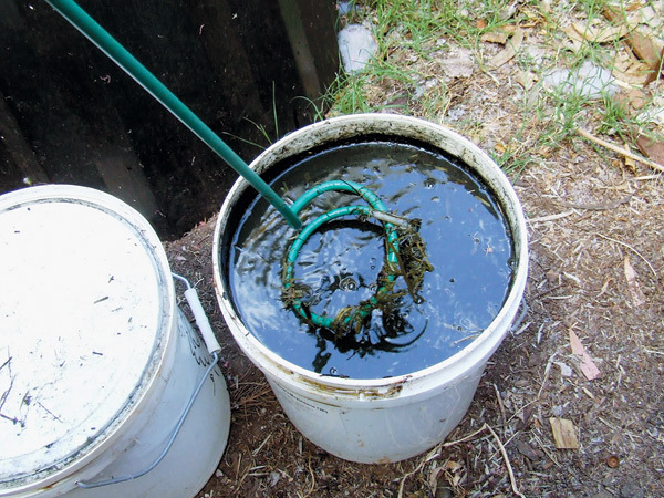 grass fertilizer