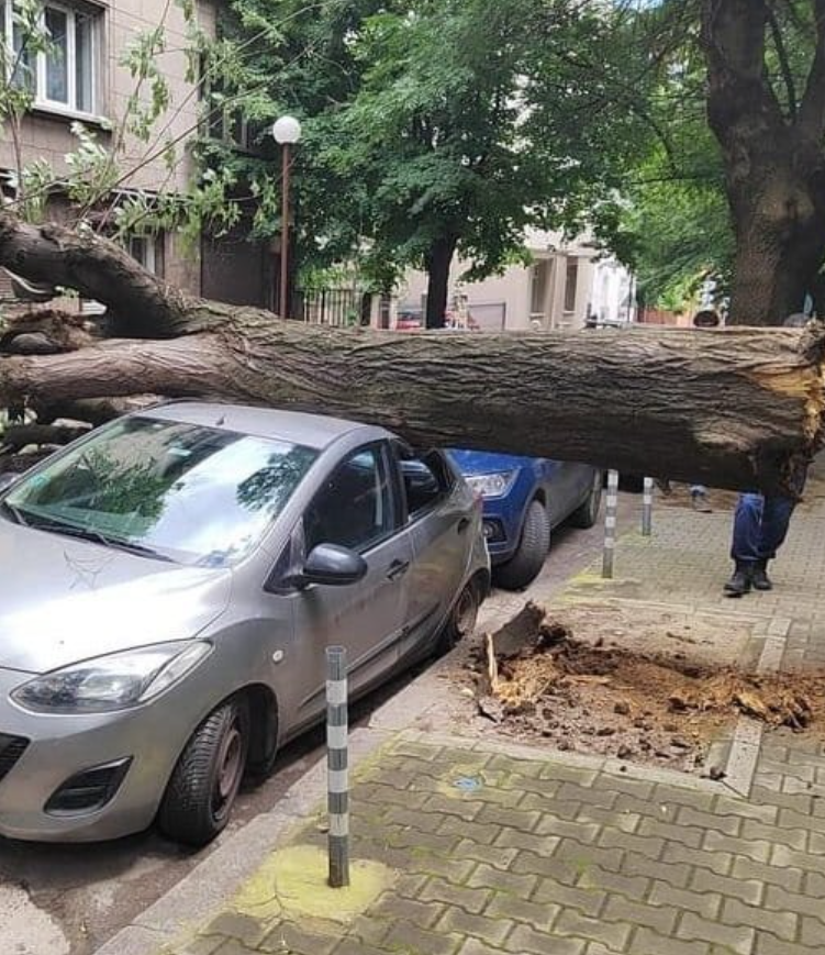 Разруха във наш голям град! Апокалиптични СНИМКИ от стихията