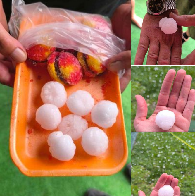 Страшно бедствие удари този район на България: Само за 10 минути ледени буци унищожиха реколтата