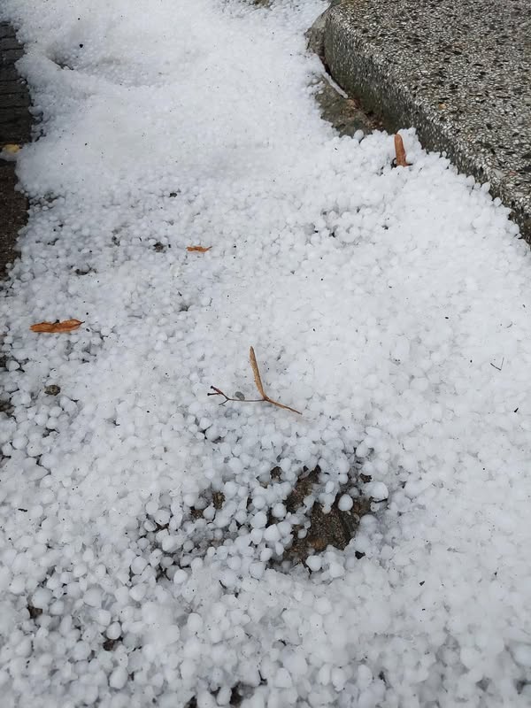 490461078 724691326797583 4797685105039312332 n