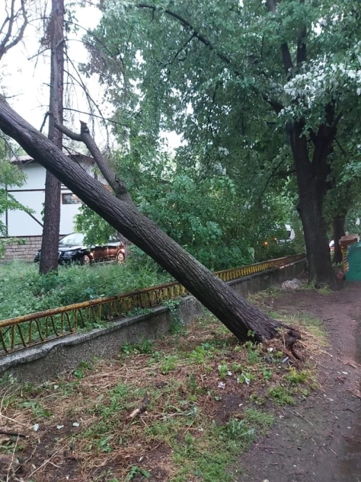 null 1747930815 499341091 1231955161804530 7850806166999568098 n