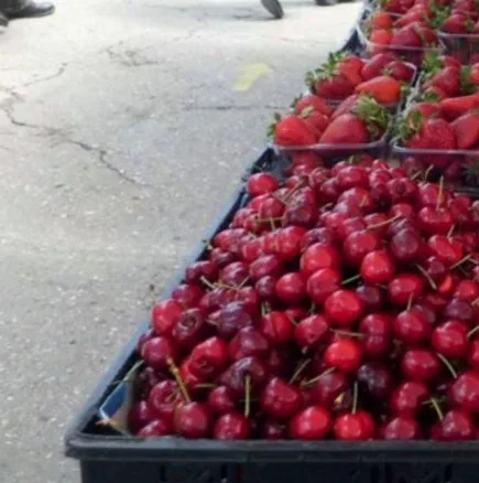 Пуснаха първите череши-Не е истина на каква цена само