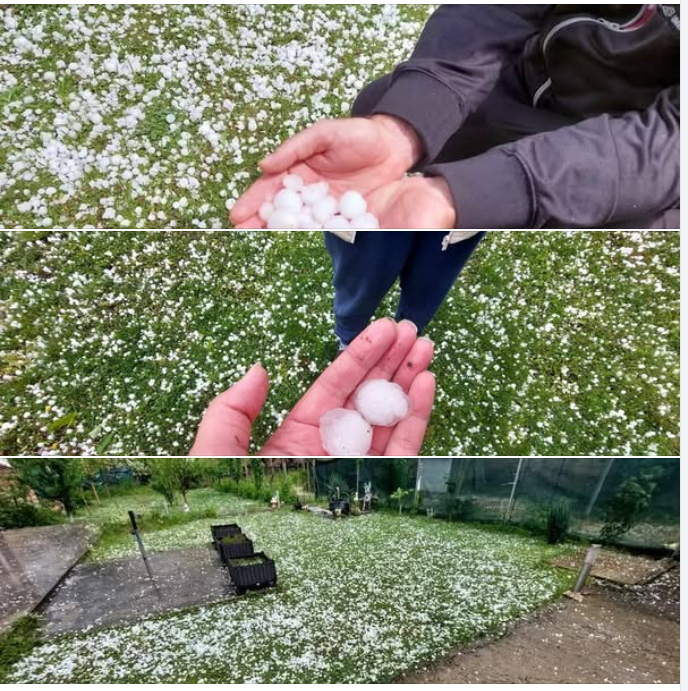 Извънредно! Много голяма градушка помете този български град преди малко! /СНИМКИ