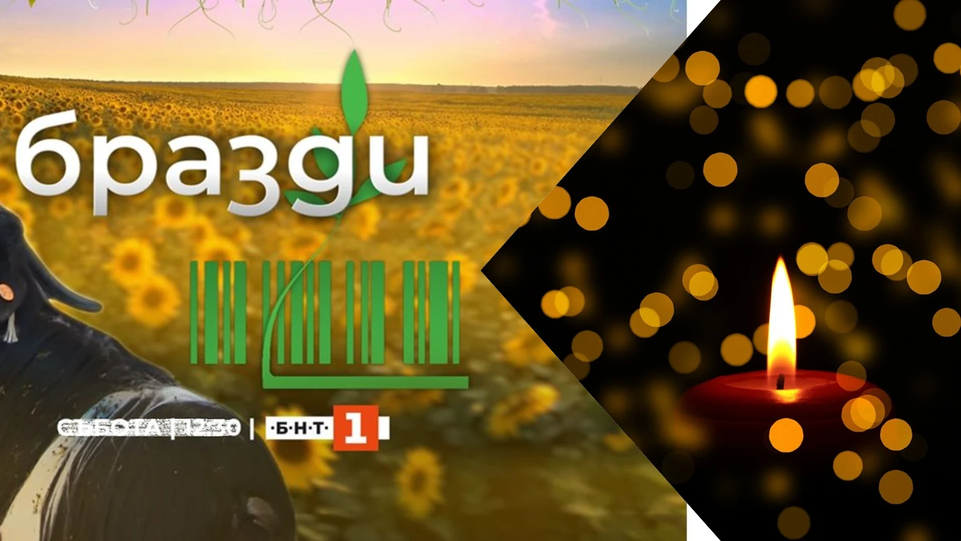 Скръбна вест! Почина легенда на родната телевизия