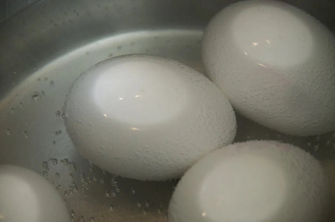 egg water