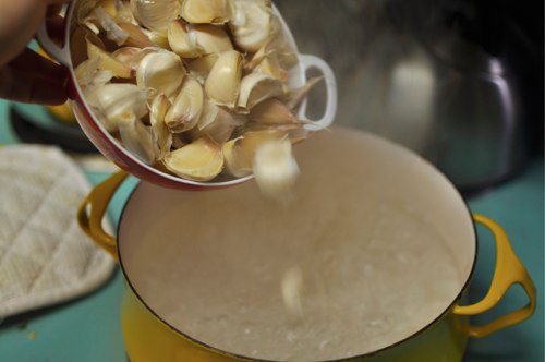garlic