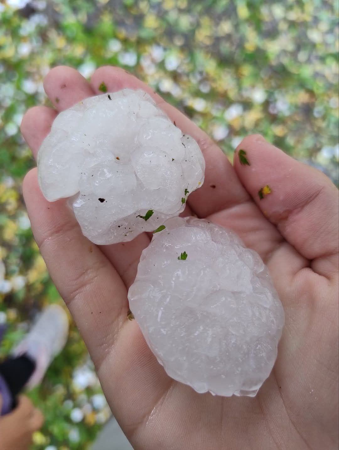Мощна градушка помете това място: Било е нещо страшно, СНИМКИ показват бедствието