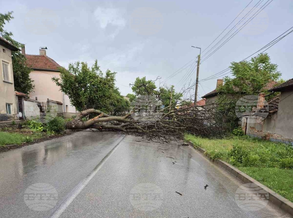 Екипи на пожарната в Плевен са отводнявали улици, мази и приземни етажи след снощната буря