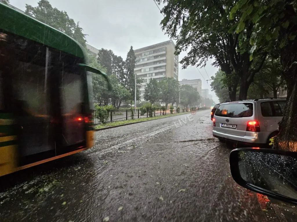 IMG 0dfb539efccbbd8f79ba8ec2aa056ba3 V