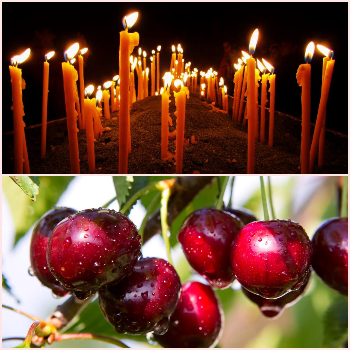 След броени дни е Черешова задушница! ПЕТ строги забрани, които се спазват - ето защо не се излиза от гробищата с пълни съдове