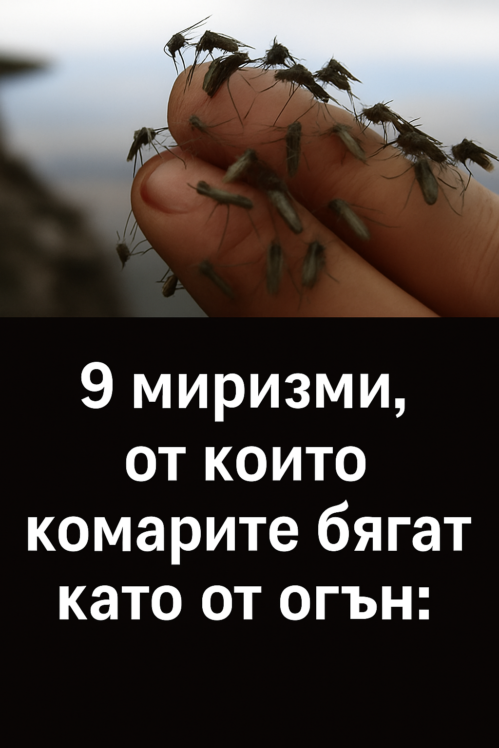 Девет миризми, от които комарите бягат като от огън: