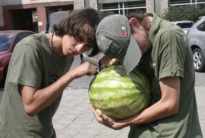 Малцина знаят, че има женски дини и точно те са най-сладки и сочни! Ето как да ги изберем – 100% гаранция за вкус 16 диня звук