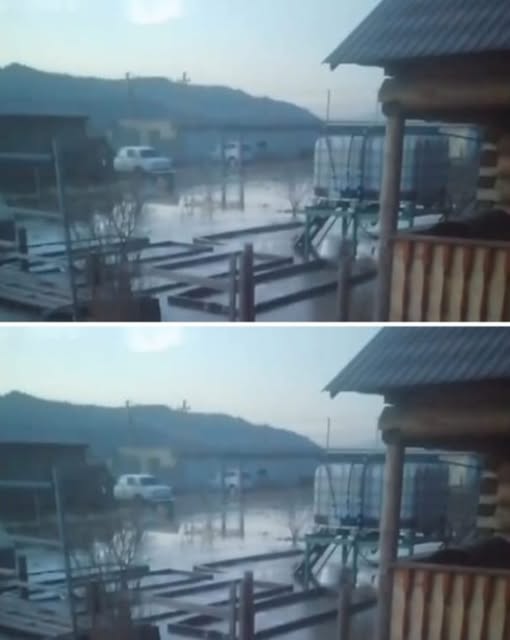 488845622 714729544460428 7753034300197392999 n