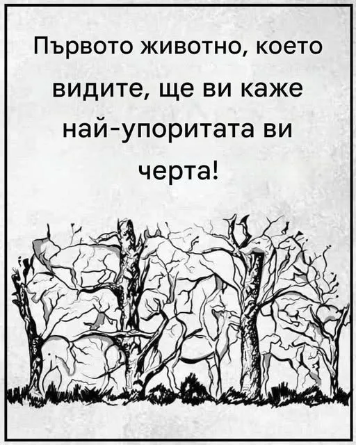 508458397 122168997020537052 6840134256909944022 n