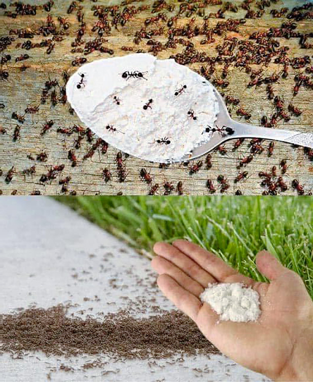 518327500 629867033484321 625926