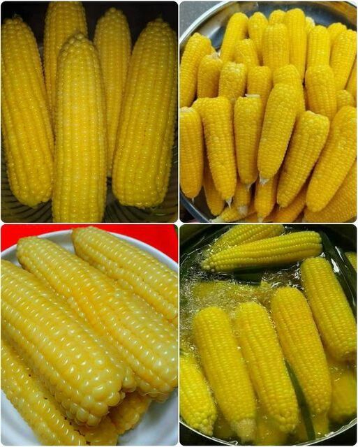 520996079 1109904917851402 97684