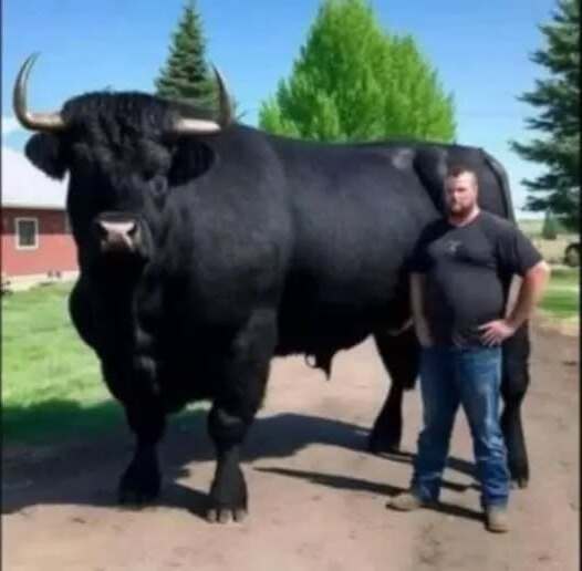 524250033 635188339618857 703671