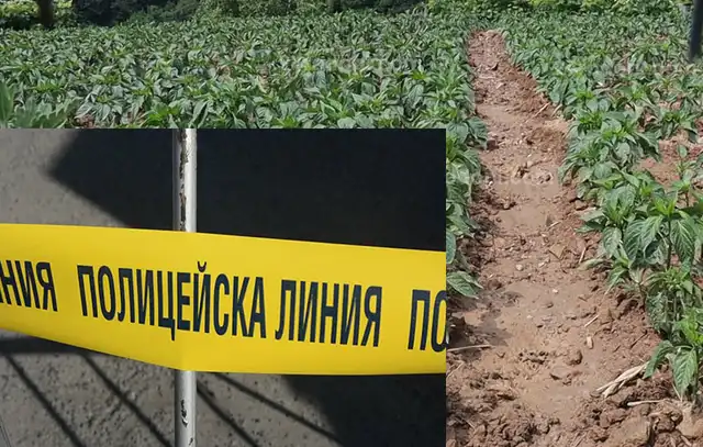 Свирепо убийство разтърси Родопите!