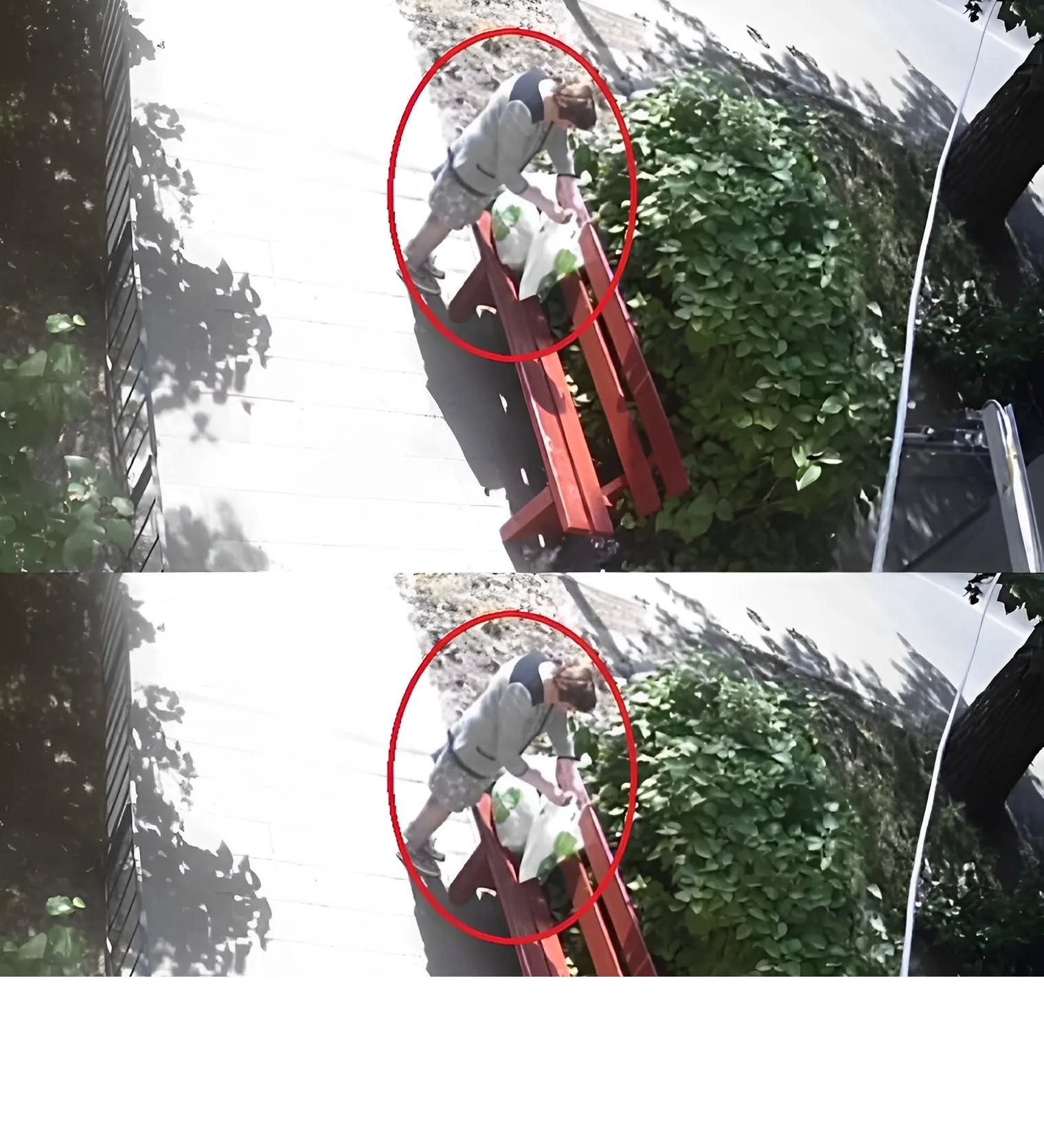 Хора, помогнете, може някой да разпознае тази жена? Може да е нечия съседка? Само погледнете какво е направила.