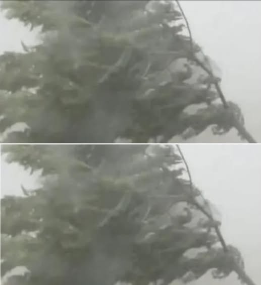 Мощна буря помете това място в България: Било е нещо страшно, СНИМКИ показват бедствието