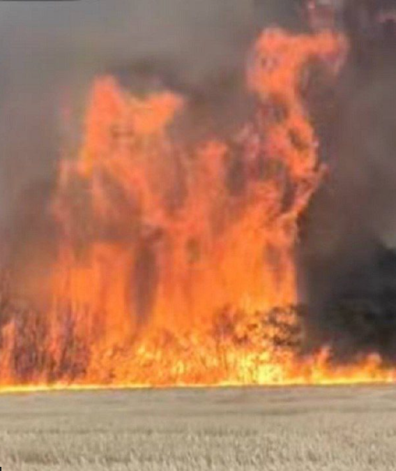 ИЗВЪНРЕДНО! ТРИ СЕЛА изчезнаха след пожара в Трънско (ВИДЕО)
