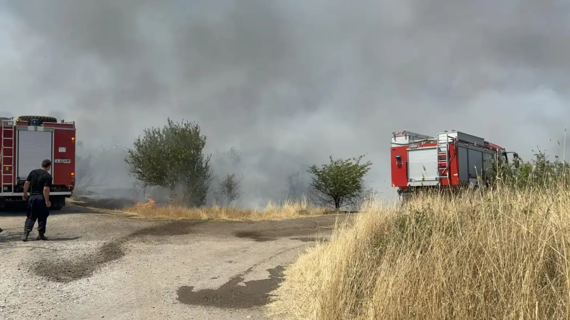 Точно в 09 :00 цяла България ще …