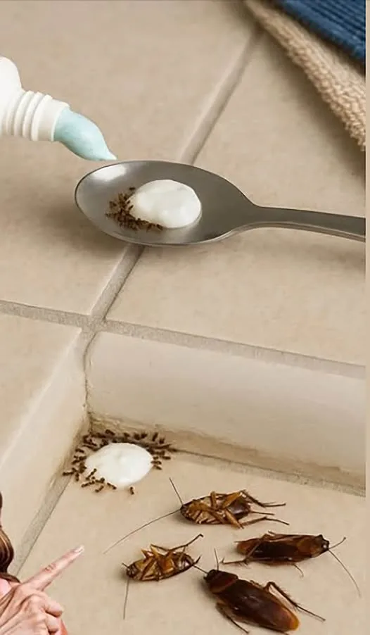 Сложете го вкъщи за час: никога повече няма да видите мухи, комари и хлебарки