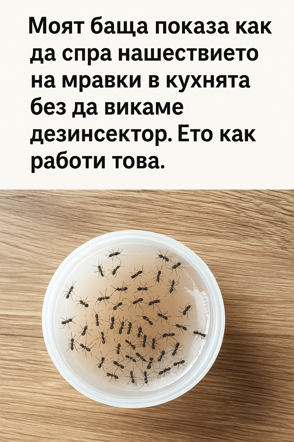 chatgpt image 15.07.2025 g. 23 31 33