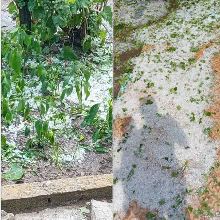 Цяла България гори, а на това място ги удари градушка, всичко побеля Видео