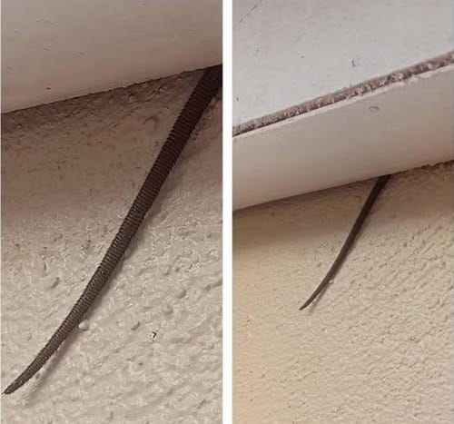 „Забелязах това да стърчи от тавана ми – какво е то?“