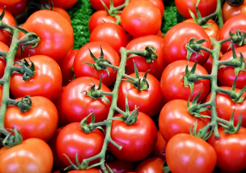 Домат, пълен с отрови, е лесен за разпознаване: Един детайл е ключов