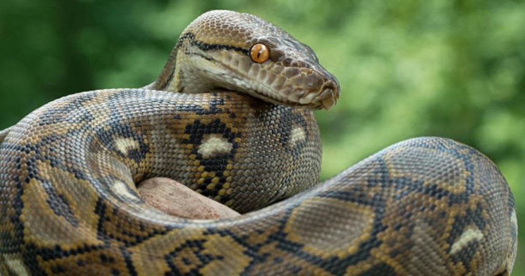 Трагедия сполетя тази сутрин 54-годишна жена, тя загуби живота си в градината си, след като... 11 9 96